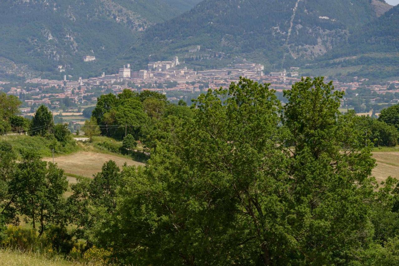 Casa Vacanze San Vittorino Gubbio Bagian luar foto